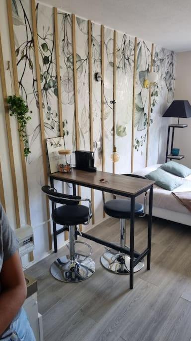 Hsh France Location Disney Land Paris - Suite Nicolas - Appartement De Charme Бюсси-Сен-Жорж Экстерьер фото