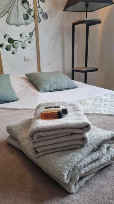 Hsh France Location Disney Land Paris - Suite Nicolas - Appartement De Charme Бюсси-Сен-Жорж Экстерьер фото